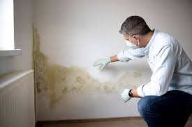 Mold Remediation for Rental Properties in Monroe, UT